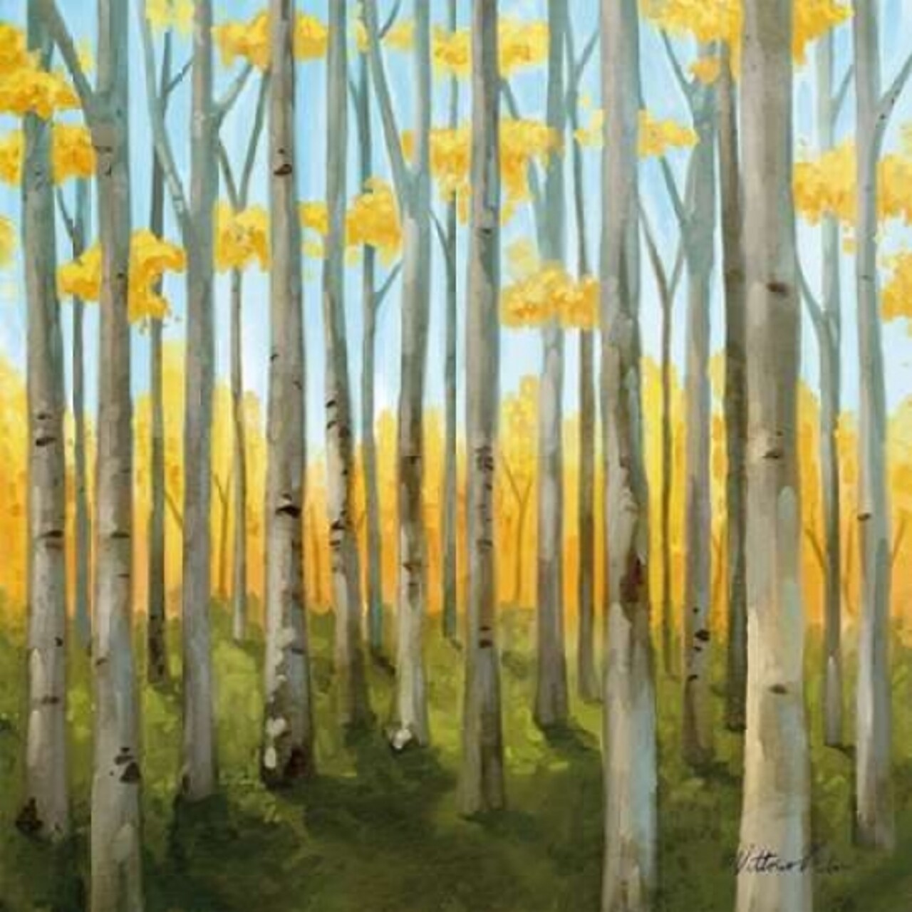 Birch Woods II Poster Print by Vittorio Milan - Item # VARPDXRB9610VM